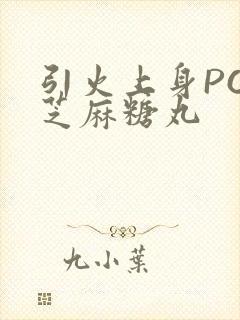 引火上身POP芝麻糖丸