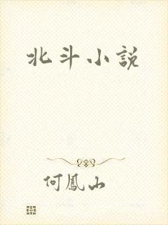 北斗小说封面