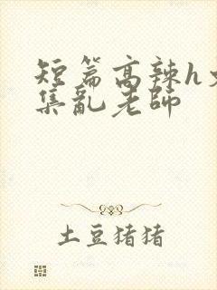 短篇高辣h文合集乱老师