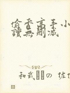 偷香高手小说阅读无删减封面