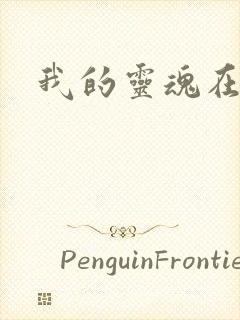 我的灵魂在古代封面
