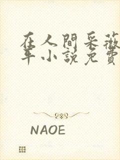 在人间采薇陆三平小说免费阅读