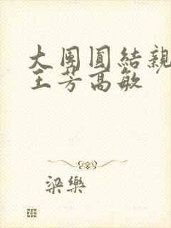 大团圆结亲情会王芳高敏封面