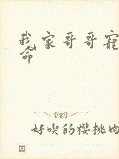 我家哥哥宠妹如命