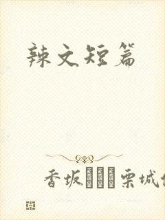 辣文短篇封面