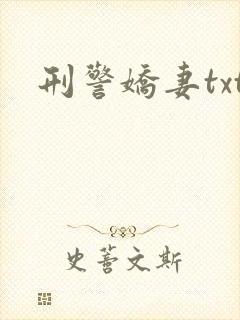 刑警娇妻txt封面
