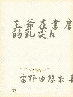 王爷在书房含她的乳尖h封面