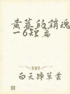 黄蓉的销魂夜1一6短篇封面