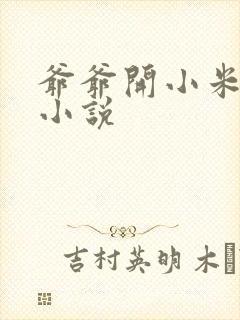 爷爷开小米的包小说封面