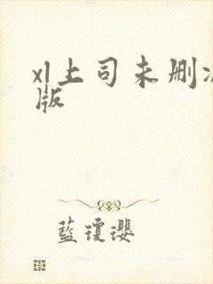 xl上司未删减版