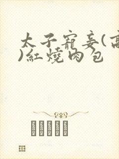 太子宠妾(高肉)红烧肉包