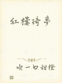 红楼琦梦