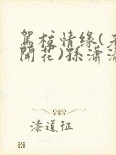 驾校情缘(老树开花)孙潇潇第一次趣笔阁