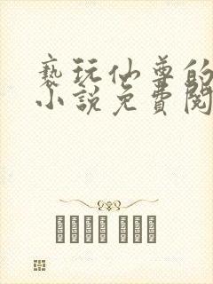 亵玩仙尊的道侣小说免费阅读