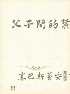 父子间的禁忌封面