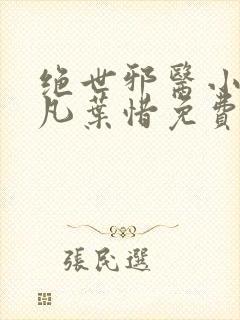 绝世邪医小说林凡叶惜免费阅读全文封面