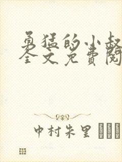 勇猛的小叔小说全文免费阅读