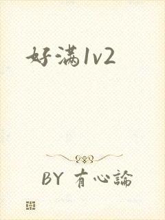 好满1v2