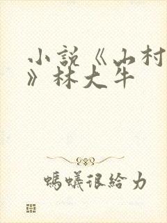 小说《山村情事》林大牛