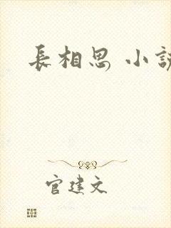 长相思 小说