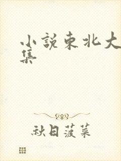 小说东北大炕全集