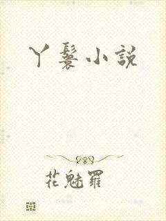 丫鬟小说