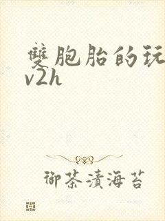 双胞胎的玩具1v2h