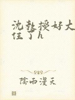 沈教授好大含不住了h