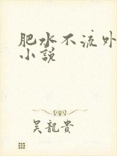 肥水不流外人田小说封面