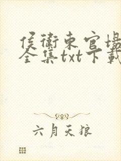 侯卫东官场笔记全集txt下载