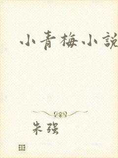小青梅小说