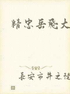 精忠岳飞大结局