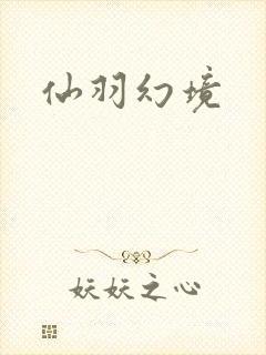 仙羽幻境封面