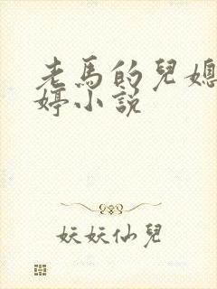 老马的儿媳顾婉婷小说