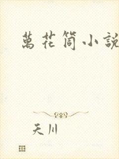 万花筒小说封面