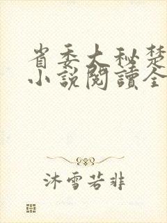 省委大秘楚东恒小说阅读全文封面