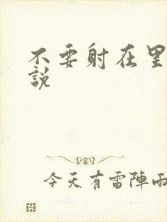 不要射在里面小说