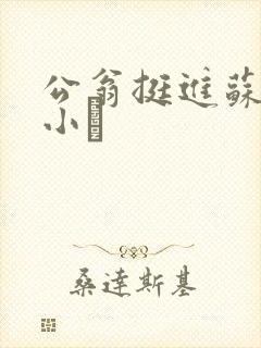 公翁挺进苏玥的小泬