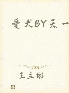 爱犬BY天一
