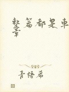 整篇都是车的文章