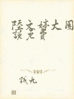 陆文婷大团圆小说免费