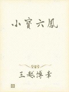 小宝六凤