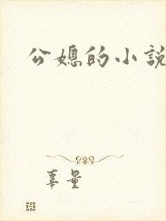 公媳的小说
