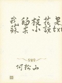 我的校花是福姬苏柔小说txt