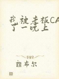 我被老板CAO了一晚上