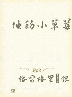 他的小草莓封面
