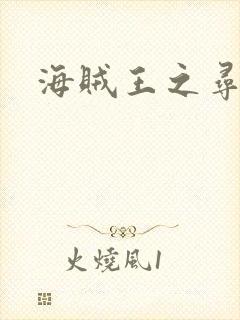 海贼王之寻亲记