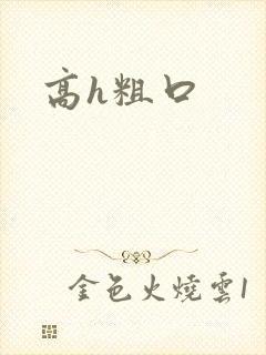 高h粗口