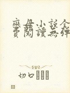 恋母小说全文免费阅读无弹窗笔趣阁