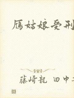 雁姑娘受刑记封面